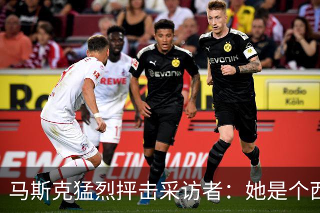 马斯克猛烈抨击采访者：她是个西方叛徒，就这么简单